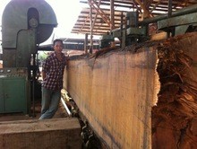  MJ3212B Big Vertical Band Saw With CNC Log Carriage Band Sawing Machine Manufactures