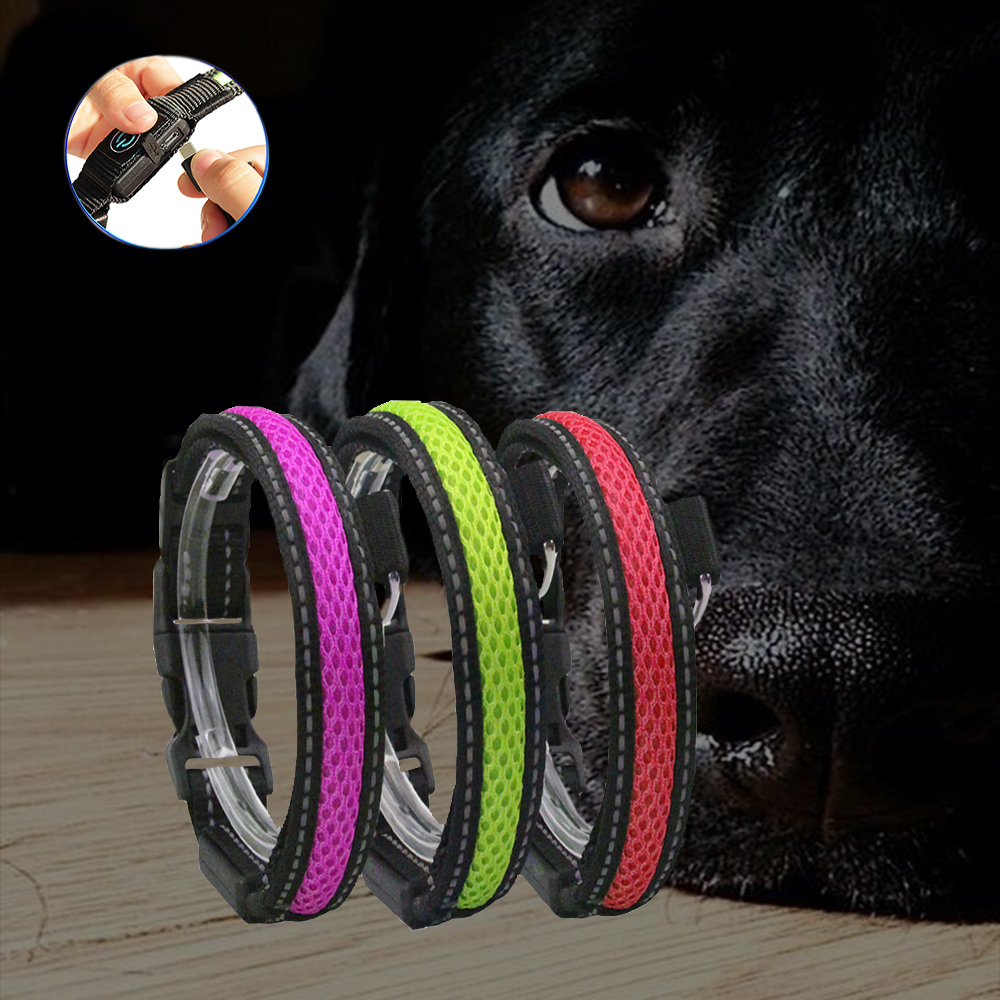 Waterproof Flashing Dog Collar , Nylon Material Safety Rechargeable Petsafe Dog Collar