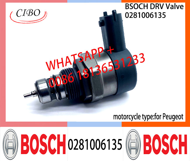 BOSCH DRV Valve 0281006135 Control Valve 0281006135 for Peugeot