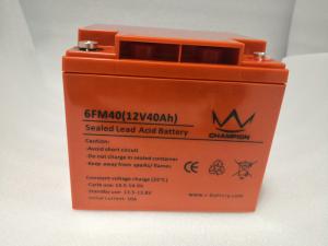 China Maintenance Free High Capacity Lead Acid Battery , Industrial Agm Lead Acid Batteries on sale