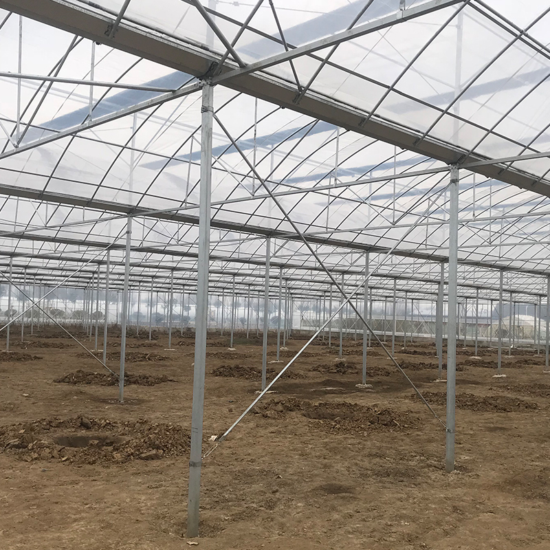 Customizable Temperature-Controlled Greenhouse for Large-Scale Plant Cultivation