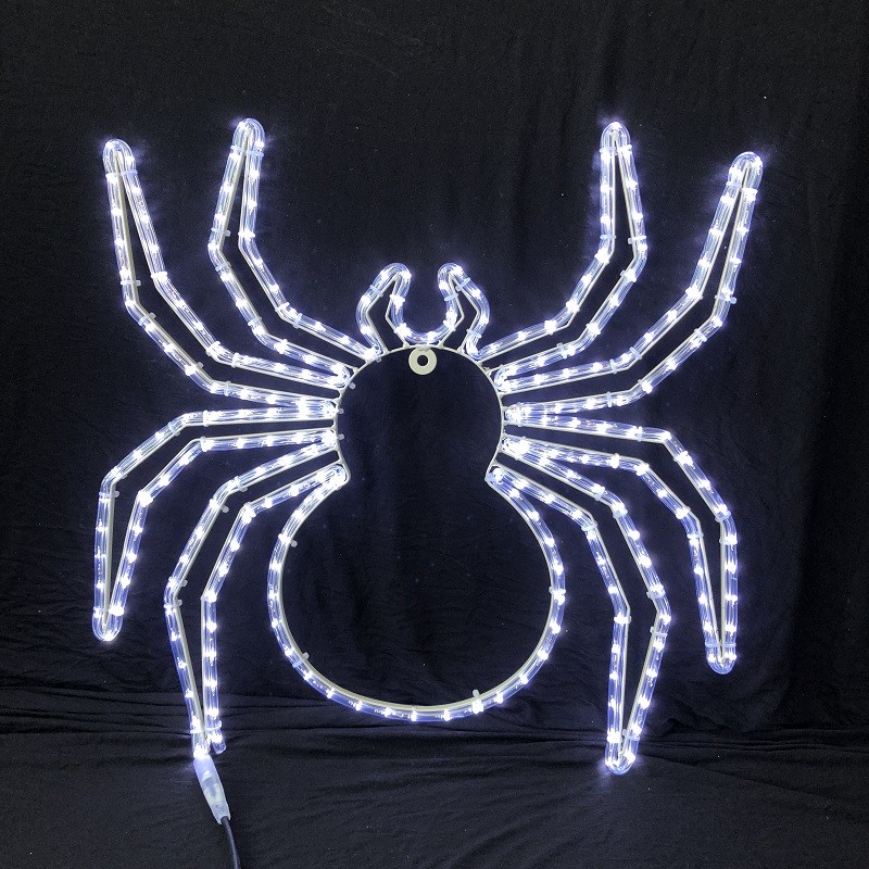 2019 Christmas newest arrival LED rope light motif lights IP55 garden outdoor commercial / household decoration lighting