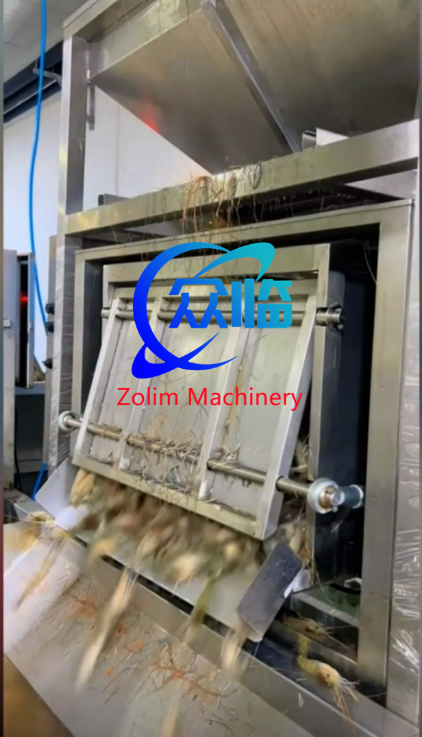 Stainless Steel 304 Automatic Raw Material Weigher, Automatic Fish Weigher