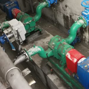 4 Bar Digester Feed Biogas Pump FKM Rubber Multipurpose Stable