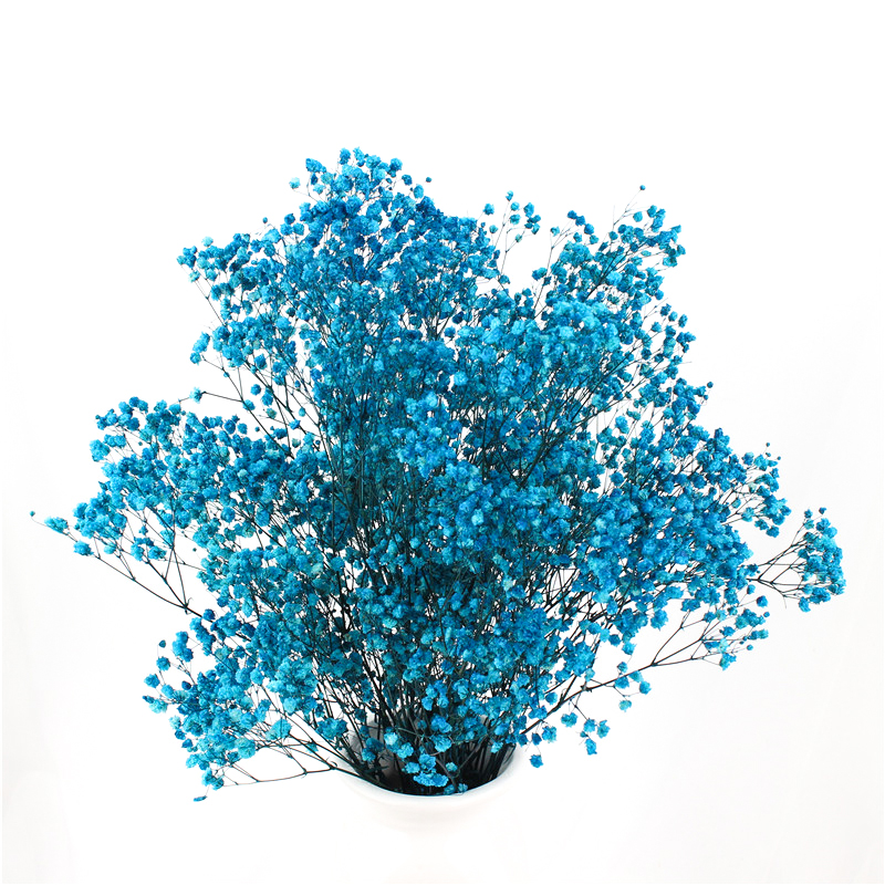 Multicolor Beautiful Dried Flowers Baby'S Breath Wedding Table Decorations
