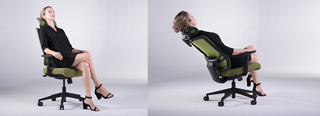 5D Armrest Lumbar Support Adjustment Desk Chair High Back Swivel Office Chairs
