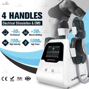  5000W HIEMT EMS Fat Burning Machine Emslim Body Sculpting Fat Removal Weight Loss Manufactures