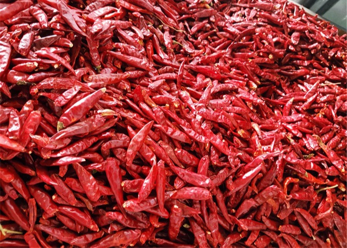 20000shu Stemless Dried Tien Tsin Chili Peppers Single Herbs