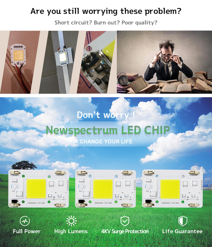 No Need Driver COB LED Grow Chip Size 50mm For Flower Seedling Plant Light