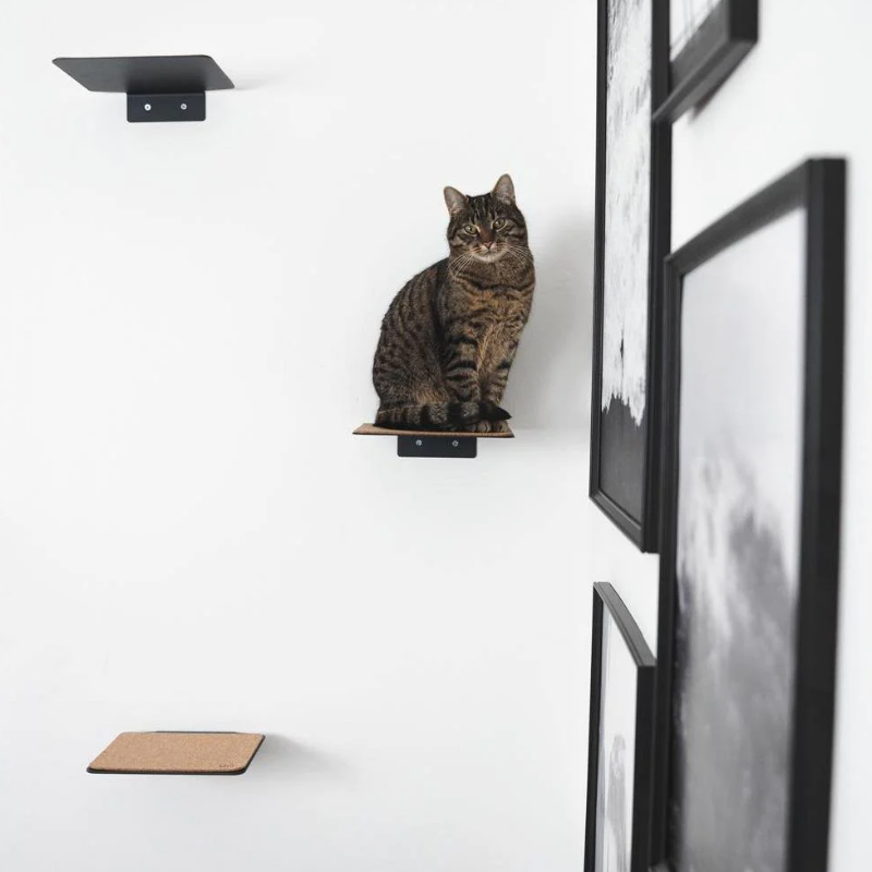 Versatile Steel Cat Wall Shelf Wall Furniture Perch Cat Hammock Bed Metal Cat Climber