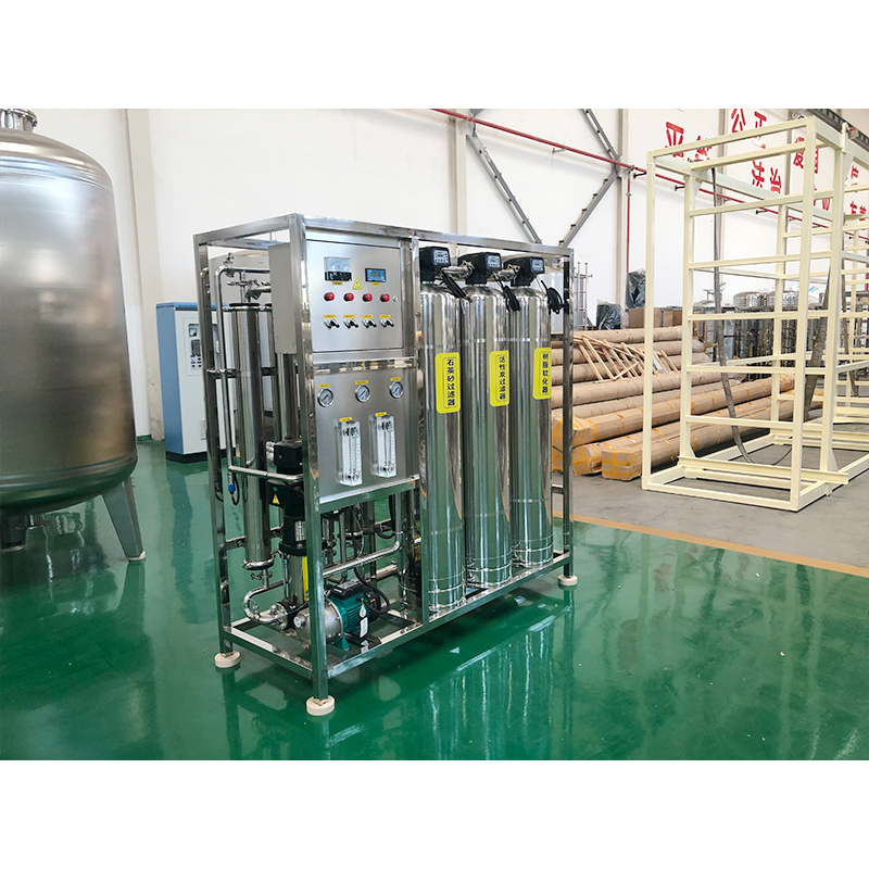 Complete Mineral Water Purification System with 1 Ton Automatic Cleaning and RO Filter