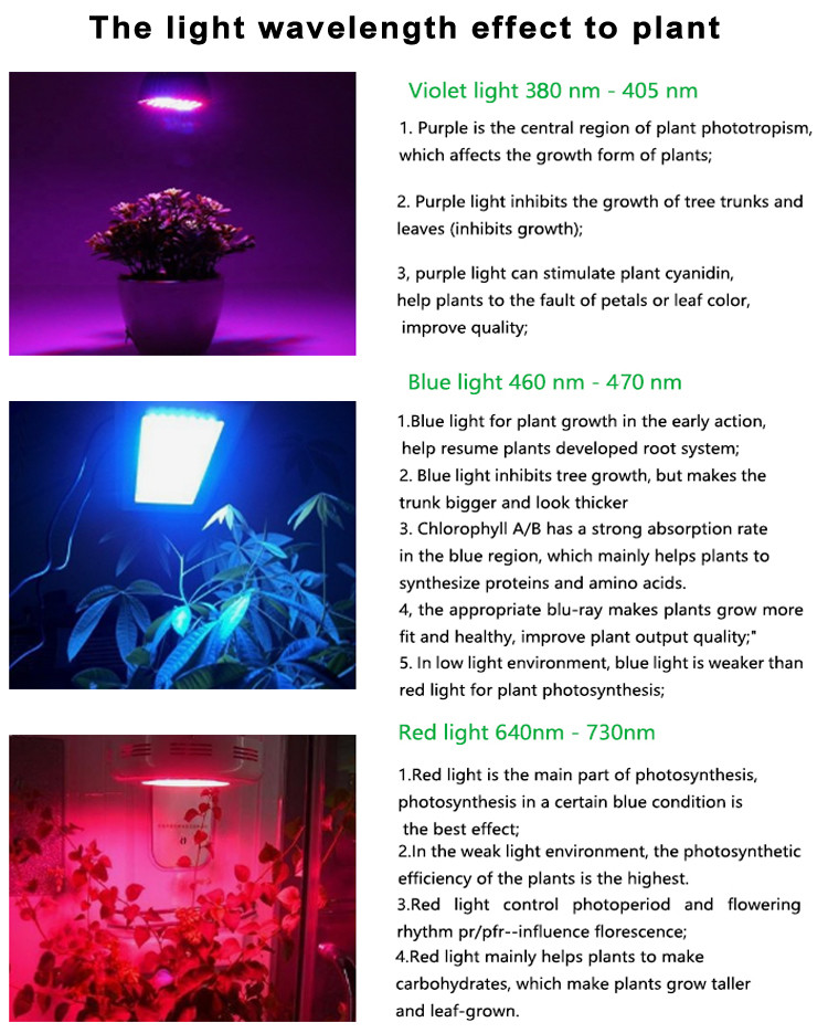 Deep Red Chip 2835 SMD 650nm 660nm 60mA For Plant LED Grow Light