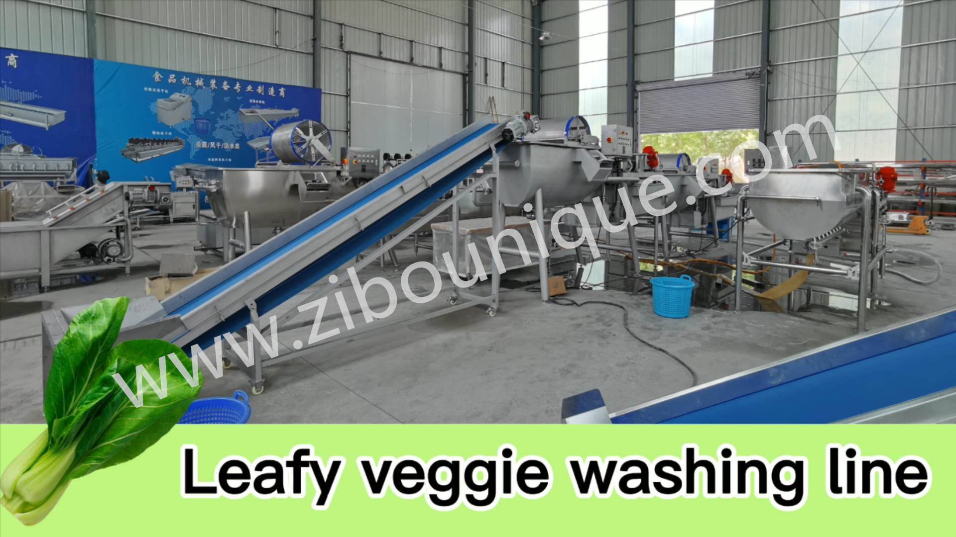 Cut Leafy Vegetables Industrial Automatic Cabbage Slicer Coleslaw Kimchi Cutting Machine
