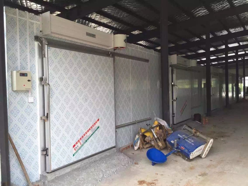 Low Flammable Fish Cold Room Easy And Fast Installation For Restaurant