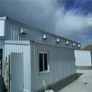  Galvanized Steel A Type Egg Production Chicken Enclosure For Automated Feeding And Drinking Systems Manufactures