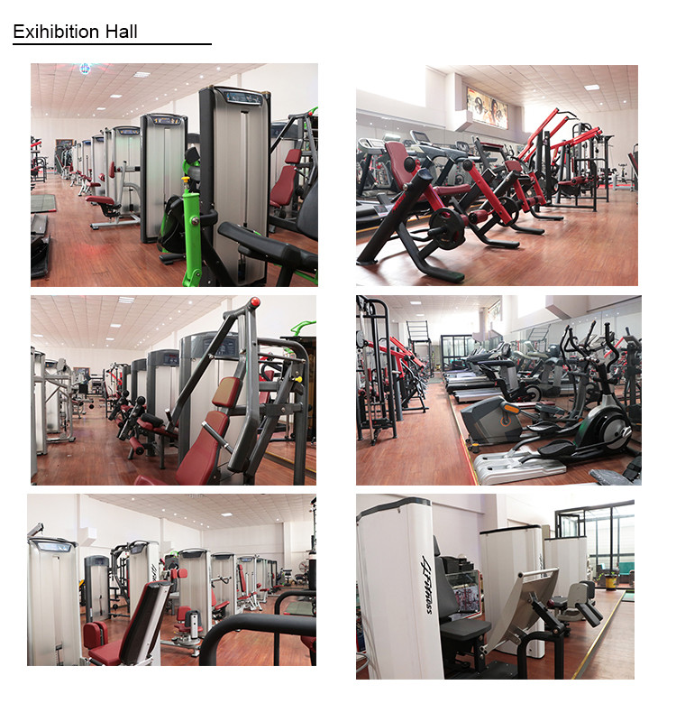 Rotary Movement Bicep Tricep Machine Elegant Stable Balanced Strength Training