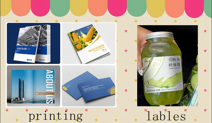 8.5 X 17inch 70gram 80gram Offset Printing One Sided Coated Art Paper For Brochures