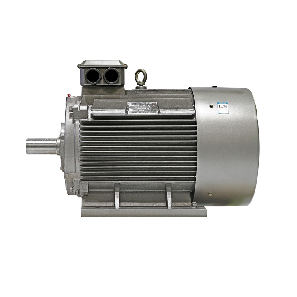 380V IP55 Class F IM B3 AC Asynchronous Motor Energy Saving