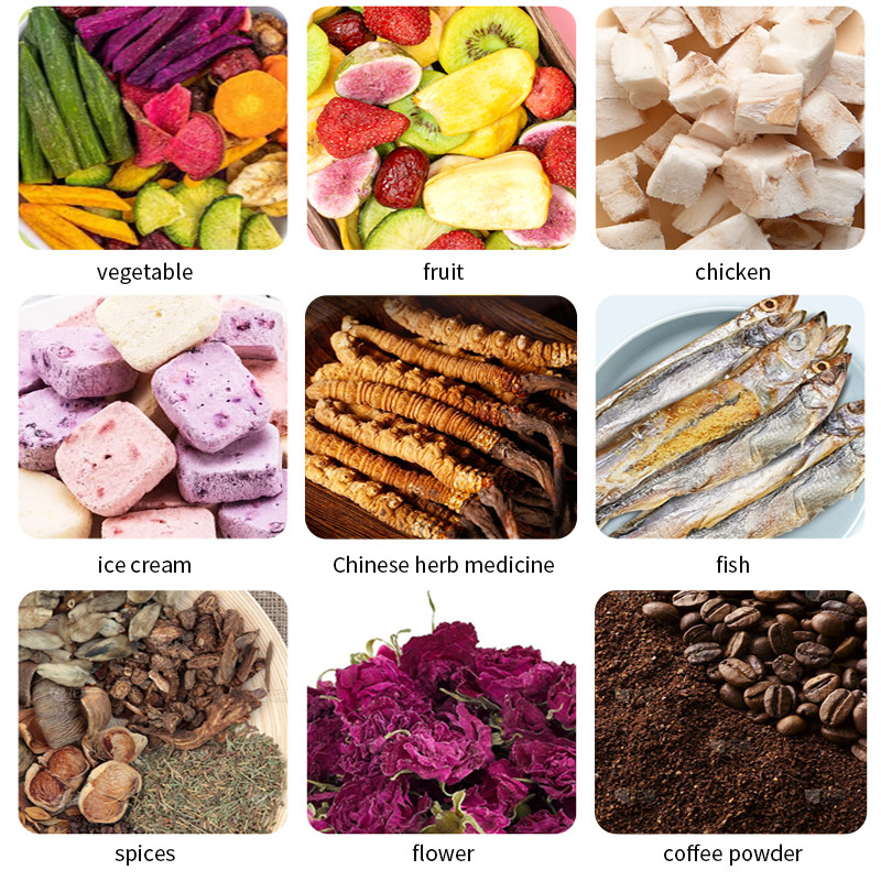 5 Trays Home Sea Cucumber Fruits Vegetables Small Freeze Dryer Machine