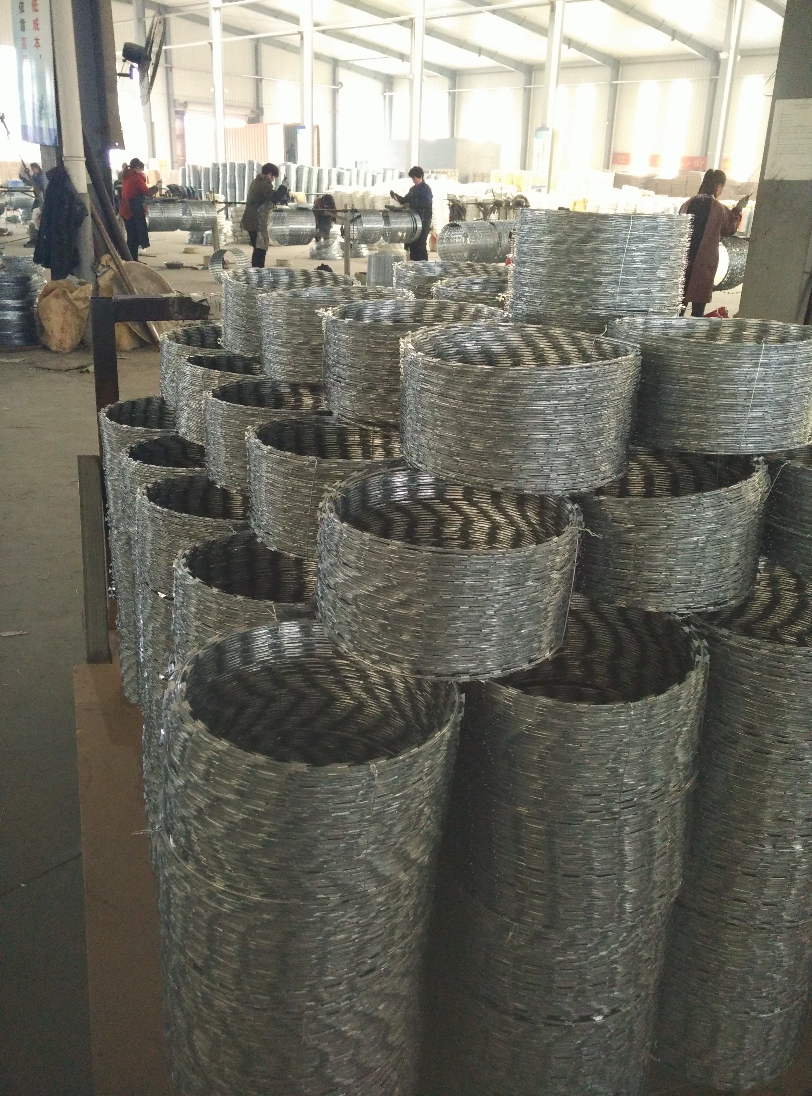 razor barbed wire barbed wire with blades razor wire coil