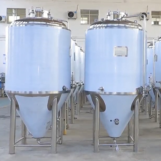 1000L Conical Beer Fermenter for Hotel Beer Fermenting Solution System