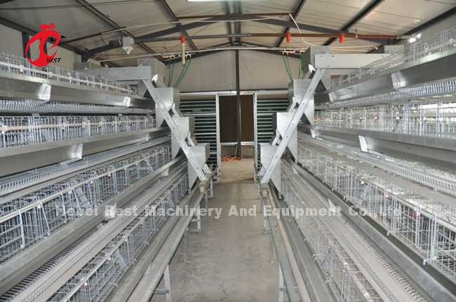 Chicken A And H Automatic Battery Cage System For Poultry Farming Breeding Sandy