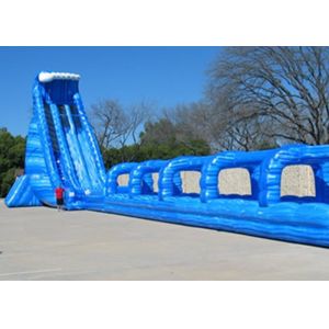 Custom Giant Inflatable Slide With Lovely Theme Hand Painting