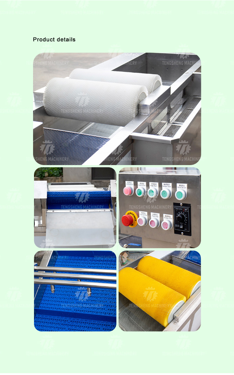 250KG The manufacturer provides a reversible air dryer for fruit ozone disinfection and fruit washing machine