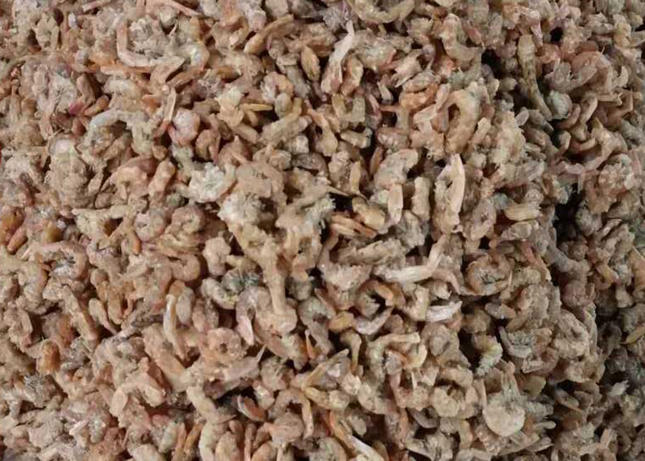 Hons One Chute CCD color sorter machine Mini sorting machine Shrimp Separater