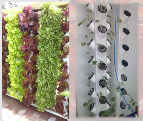Agricultural Greenhouse Super Growtower Hydroponic Grow Systems Planting System