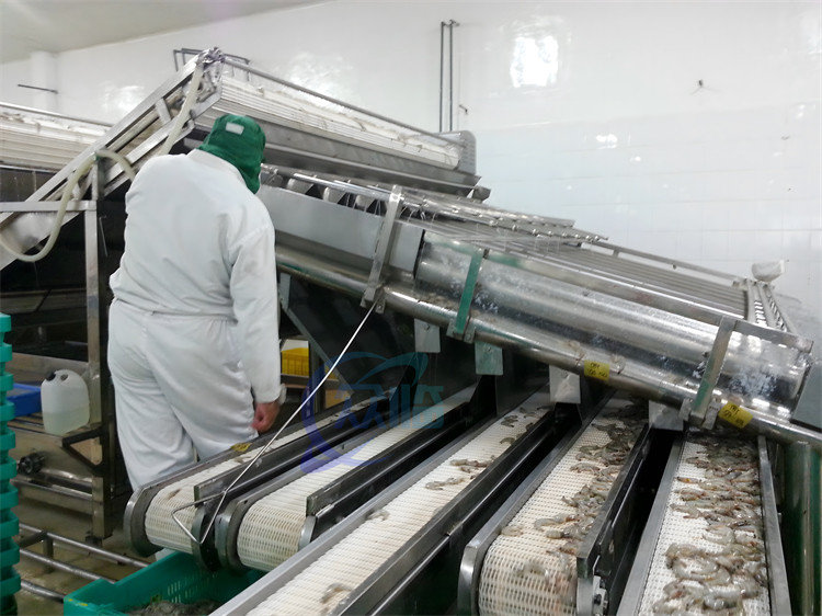 4900W Shrimp Grading Machine Roller Control Anti Erosion Automatic