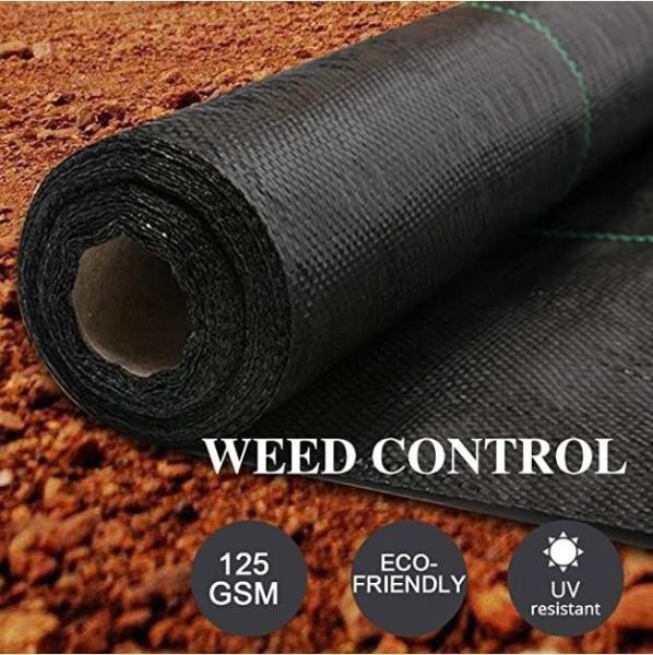 PP ground cover,weed barrier Fabrics, weed mat in strawberry garden, Agricultura
