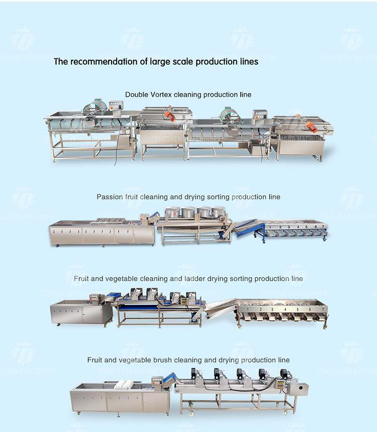 180KG Vegetable apple multi-function air bubble cleaning machine Eddy current fruit and vegetable cleaning machine