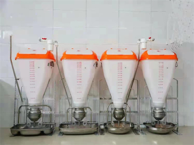 Plastic Stainless Steel Automatic Pig Feeder Dry Wet Feeder