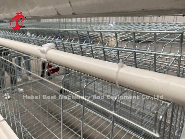 Galvanized Steel Layer Chicken Cage System Sandy