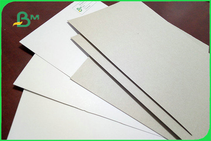 FSC Certified C1S Grey Back Coated Duplex Board Jumbo Roll 300g/350g/450g