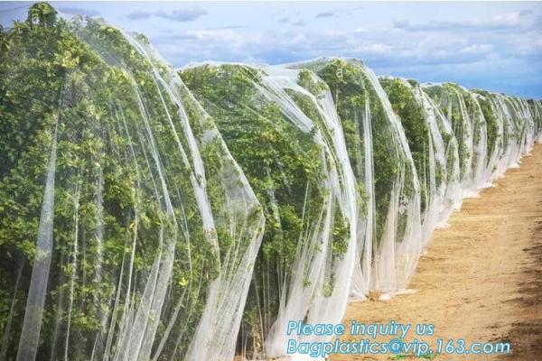 Plastic Anti Bird/Hail/Insect Plants Protection Net for Agriculture,insect