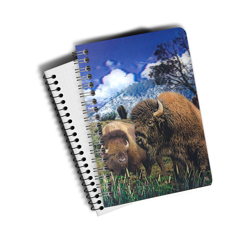 3D Lenticular Notebook Stationery 3D Lenticular Printing Service for Student