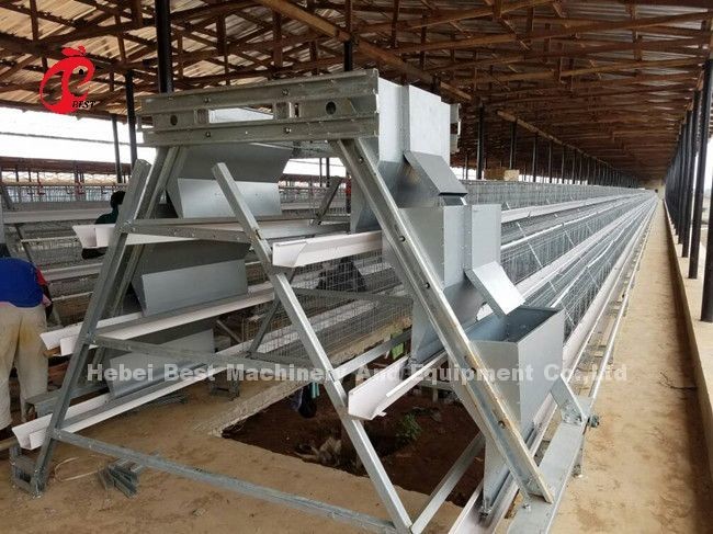 Galvanized Steel 96-200 Birds Poultry Battery Cage System For Layer Farm Emily Wang
