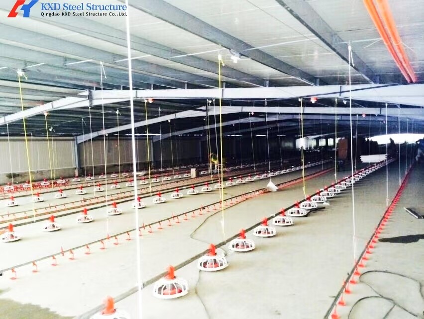 Anti Rust Broiler Pan Feeding System Automatic Plastic Slat Floor For Poultry