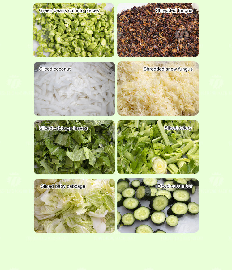 1200KG/H Vegetable Processing Machine Agricultural Automatic Fruit Cutter