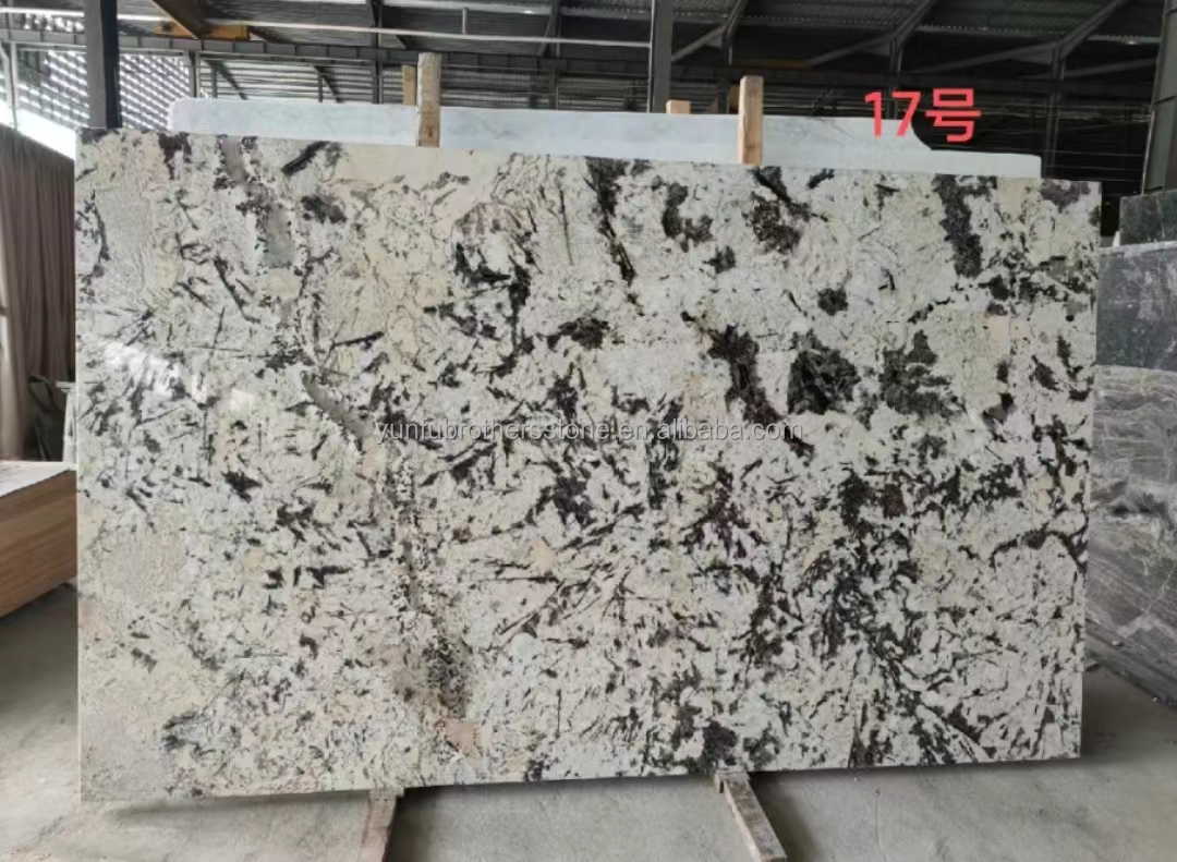Interior Wall Cut-to-Size Glazed Snow Mountain Silver Fox Marble Stone in Polished Finish