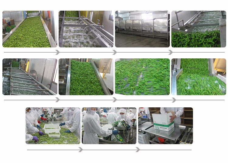 6cm Frozen Edamame Beans Mukimame IQF Shelled Edamame In Pod