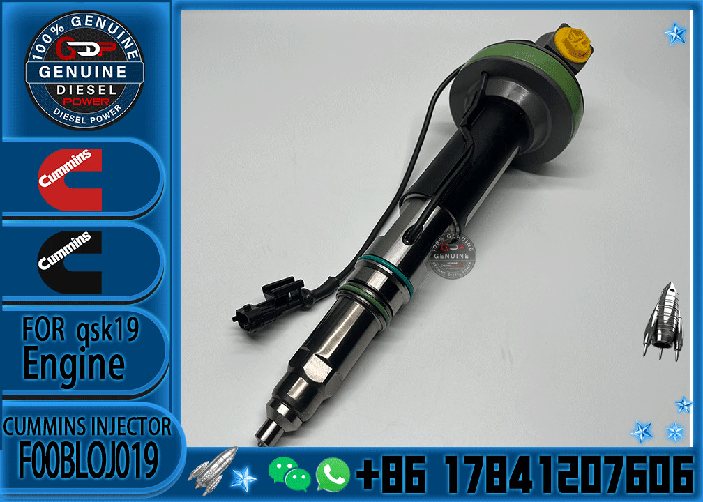 Common Rail Engine Accessories Diesel Injector 4964172 F00BLOJ019 F00BLOJ013 FOR QSK38/50 n F00BLOJ018