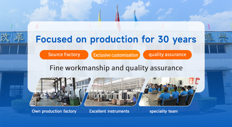 Experienced Custom Cast Zinc Alloy Aluminum Mould Die-Casting Mold Service with LKM Base and Product Material Metal