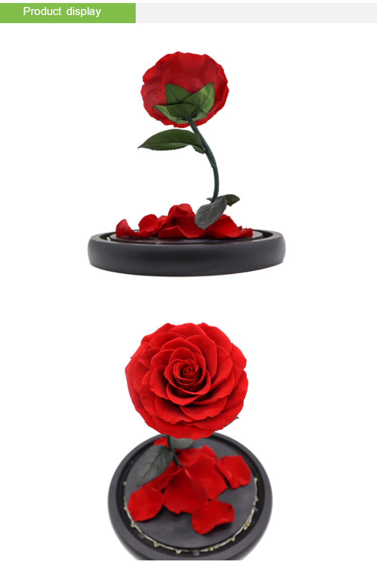 Customized Color Preserved Rose Glass Dome Beauty And The Beast