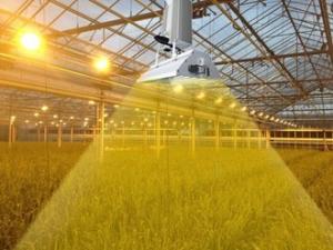  Aluminum Hood Greenhouse Grow Lights With 1000 Watts Double - Ended HPS Lamp Manufactures