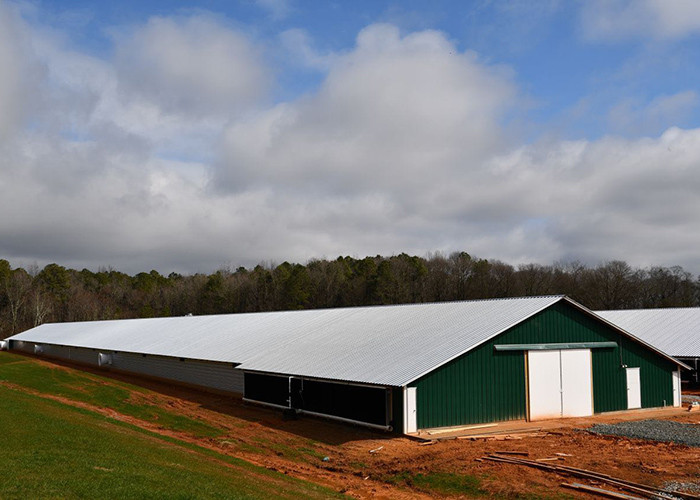 Light Steel Structure Poultry Farming Structures Poultry House