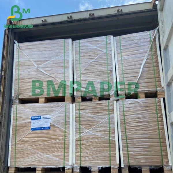 200g - 400g Food Grade FBB Board White Cellulose Paperboard For Food Container