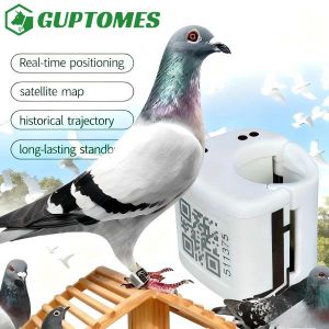 Type-C Dual Charging Pigeon GPS Tracker GPS+LBS Precise Positioning For Racing